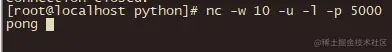 使用python实现一个简单ping pong服务器