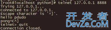 使用python实现一个简单ping pong服务器