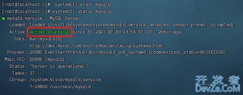 Linux系统下MySQL的初始化和配置指南