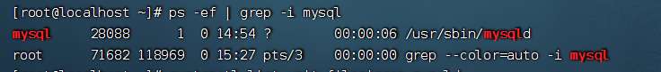 Linux系统下MySQL的初始化和配置指南