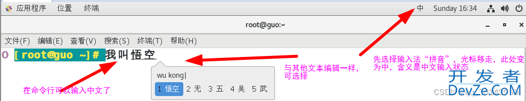 Linux CentOS7 添加中文输入法方式