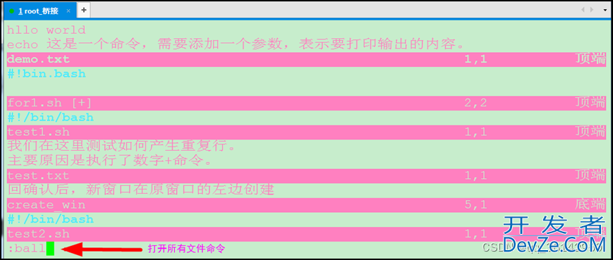 Linux CentOS7 vim多文件与多窗口操作方式