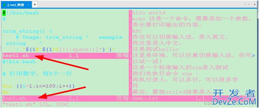 Linux CentOS7 vim多文件与多窗口操作方式