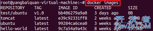 Docker安装MySQL并使用Navicat连接的使用示例