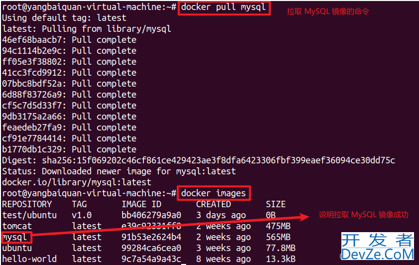 Docker安装MySQL并使用Navicat连接的使用示例