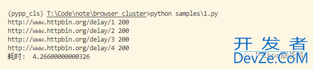 使用Python编写一个浏览器集群框架