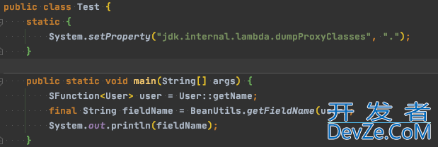 Java通过Lambda函数的方式获取属性名称