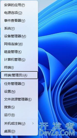 Win11自带的应用商店无法正常使用怎么办?