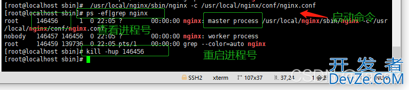 详解Linux中nginx如何重启、启动与停止