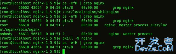 linux下如何安装nginx