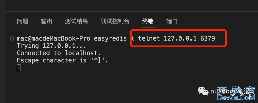 Golang实现自己的Redis(TCP篇)实例探究