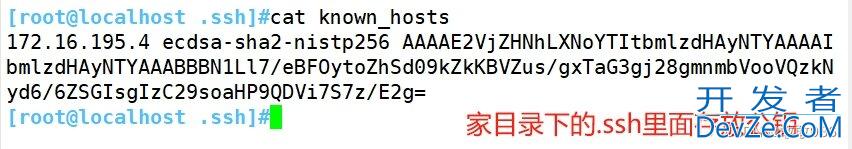 关于SSH服务解读