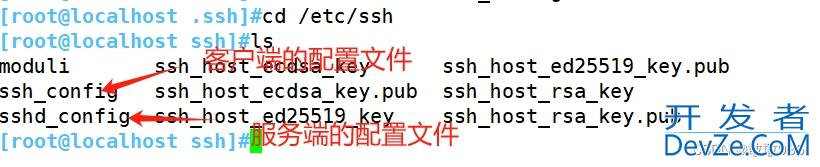 关于SSH服务解读