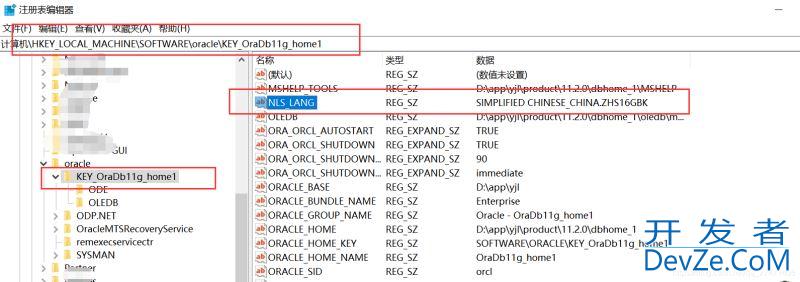 使用PLSQL查看表属性乱码的解决方法