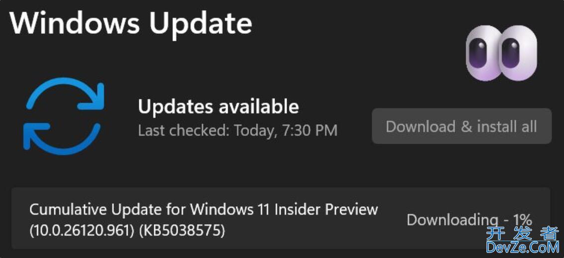 Win11 Dev 26120.961 预览版更新补丁KB5038575发布(附更新介绍)