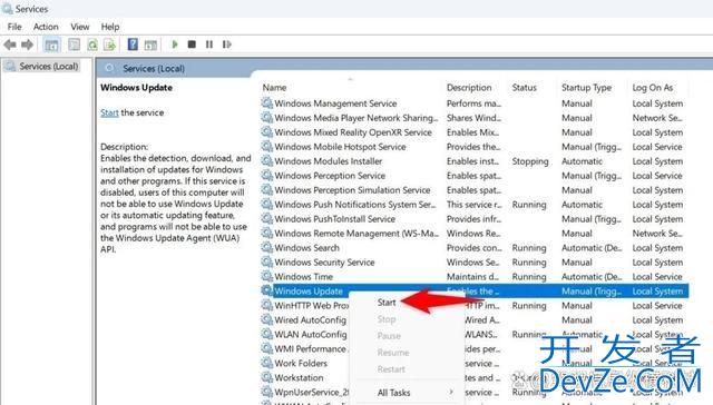 Win11/10怎么清除更新缓存? windows系统删除更新缓存文件的技巧