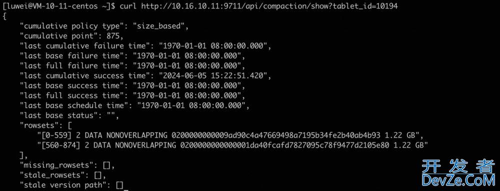 Apache Doris 中Compaction问题分析和典型案例分析