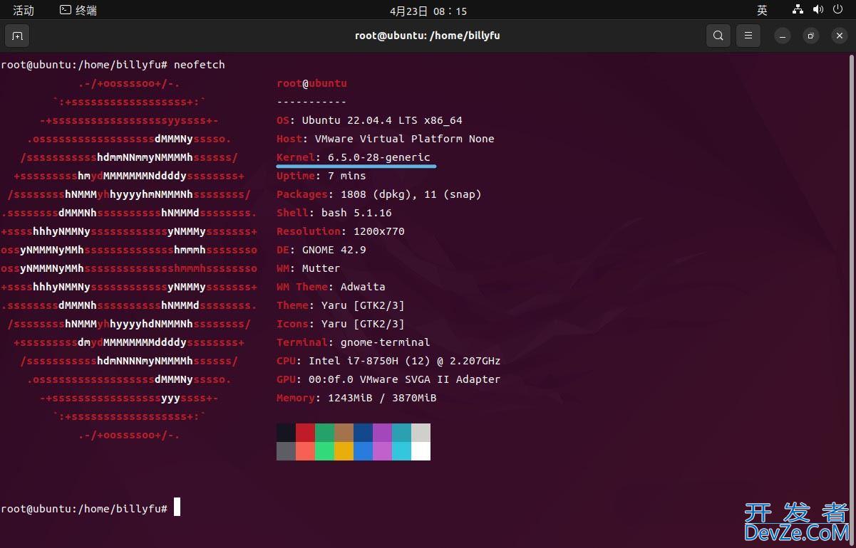 Ubuntu 24.04 LTS和22.04 LTS有什么区别? 安装/界面/新功能等对比