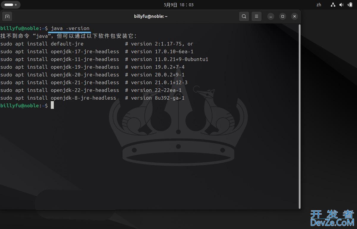 Ubuntu 24.04 LTS怎么安装和卸载Java?