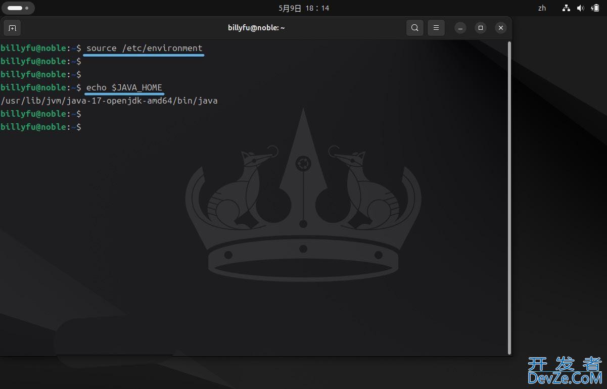 Ubuntu 24.04 LTS怎么安装和卸载Java?