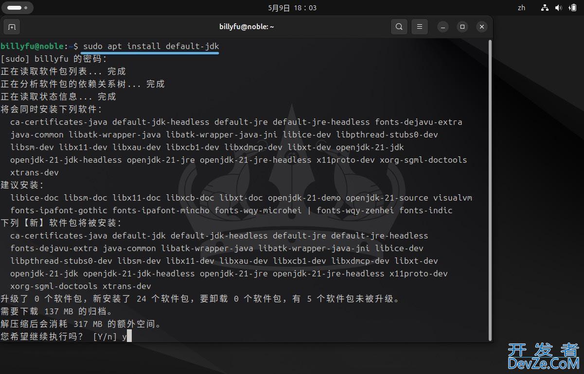 Ubuntu 24.04 LTS怎么安装和卸载Java?