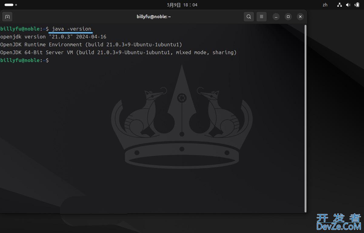 Ubuntu 24.04 LTS怎么安装和卸载Java?