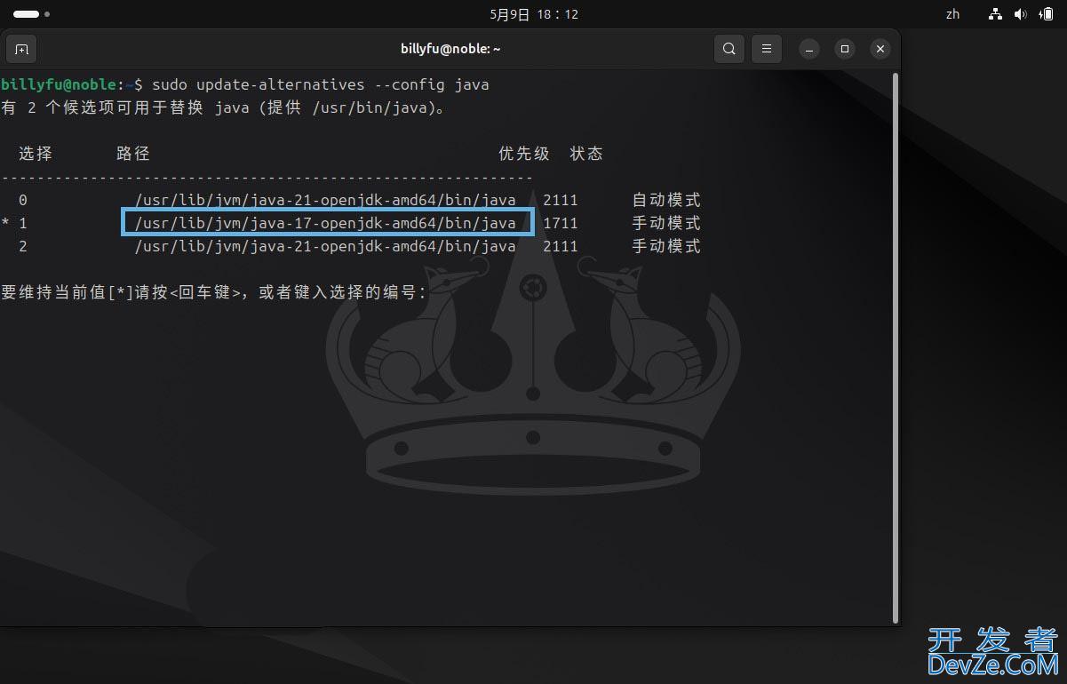 Ubuntu 24.04 LTS怎么安装和卸载Java?