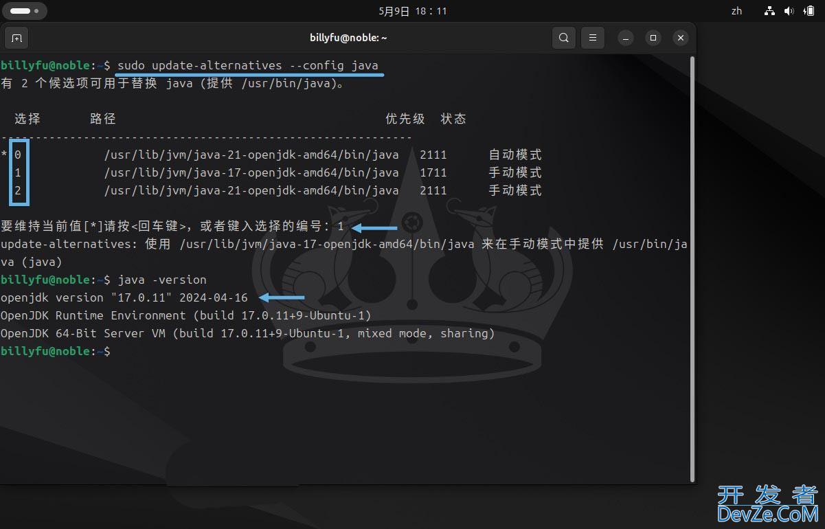 Ubuntu 24.04 LTS怎么安装和卸载Java?