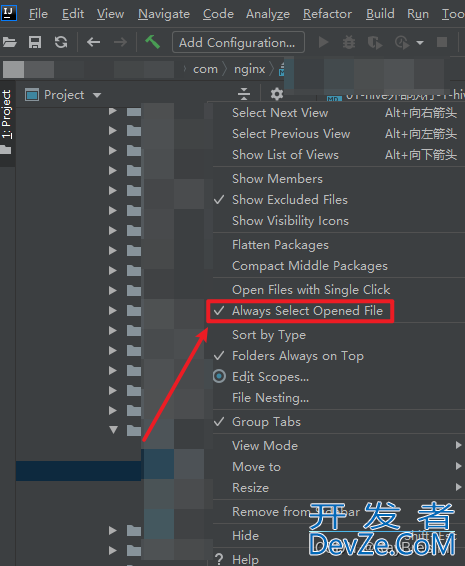 解决Idea的选择文件后定位瞄准器"Select Opened File"的功能不见了