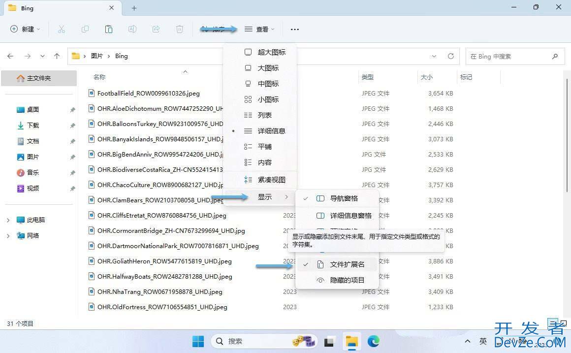 文件后缀名隐藏了怎么显示出来? 轻松显示Win11文件扩展名的三种方法