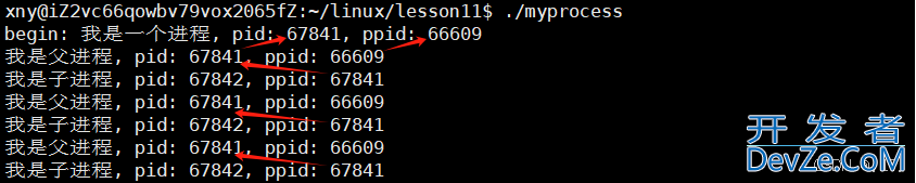 一文详解Linux中的fork机制