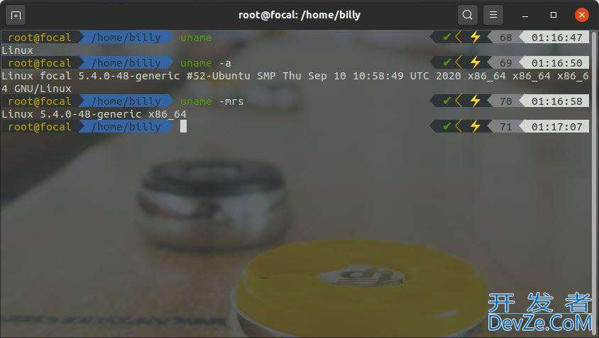 linux查看系统版本和内核? Linux内核和操作系统版本查询方法