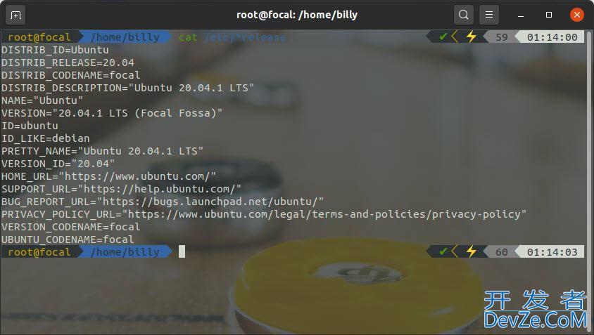 linux查看系统版本和内核? Linux内核和操作系统版本查询方法