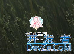 Python实现美化版端口进程管理工具