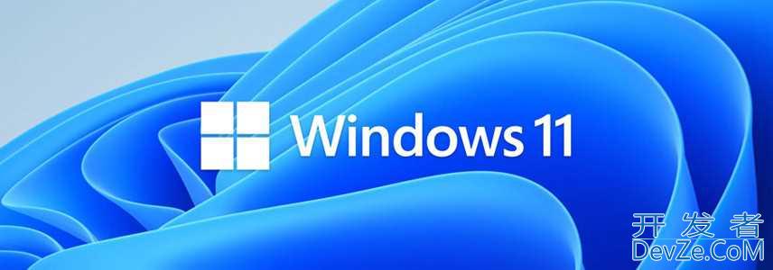 Win11系统怎么启用或禁用动态刷新率? 轻松提升性能与续航
