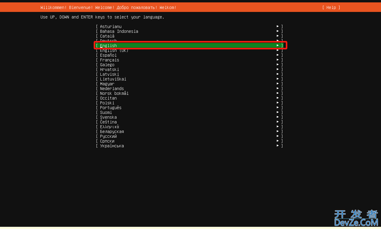 Ubuntu Server 22.04.5 入门篇：详尽安装部署指南