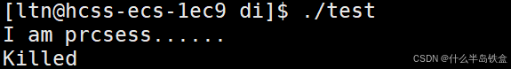 Linux进程终止的N种方式详解