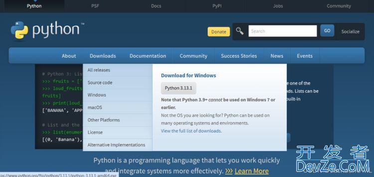 2025最新版Python3.13.1安装使用指南(超详细)