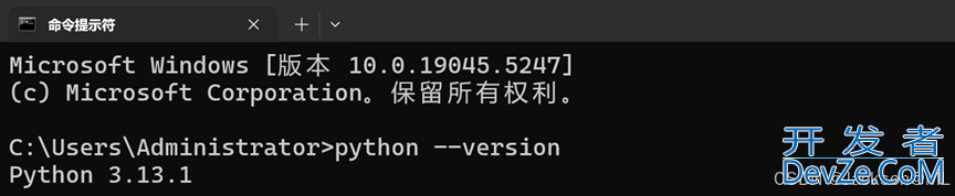 2025最新版Python3.13.1安装使用指南(超详细)