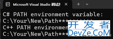 为什么获取环境变量getenv小心有坑
