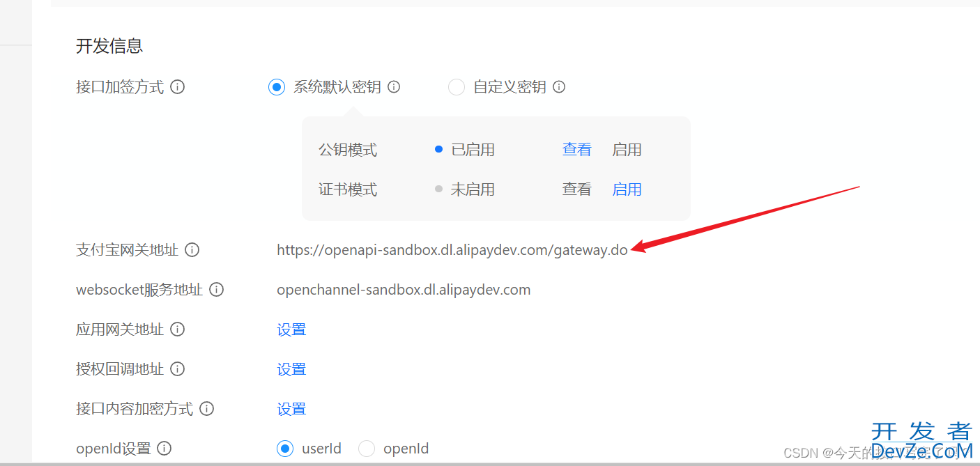SpringBoot基于沙箱环境实现支付宝支付教程