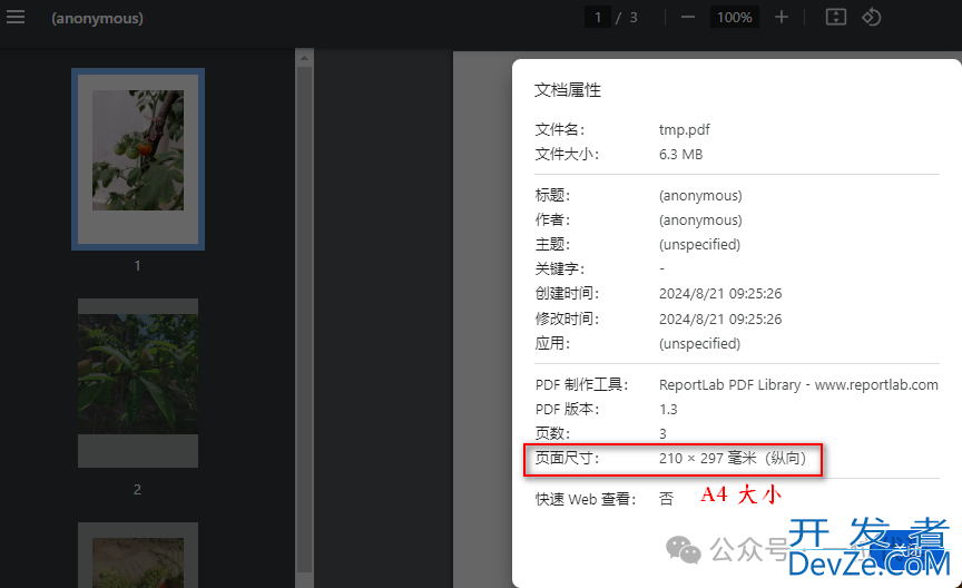 python中图片转换为pdf实现方法
