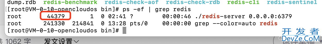 配置redis.conf远程访问的操作