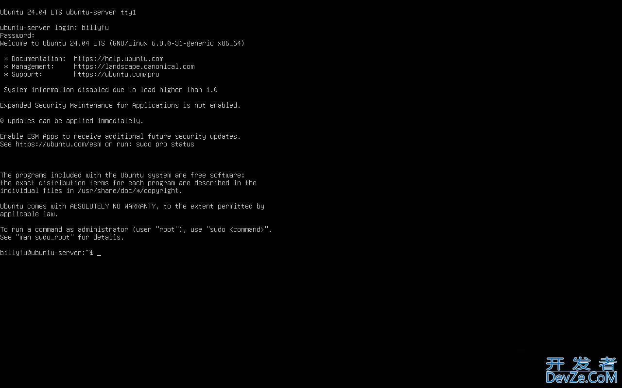 如何安装 Ubuntu 24.04 LTS 桌面版或服务器? Ubuntu安装指南