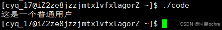 Linux环境变量&&进程地址空间详解