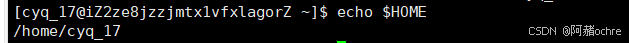 Linux环境变量&&进程地址空间详解