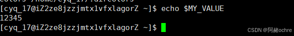 Linux环境变量&&进程地址空间详解