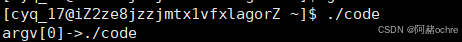 Linux环境变量&&进程地址空间详解