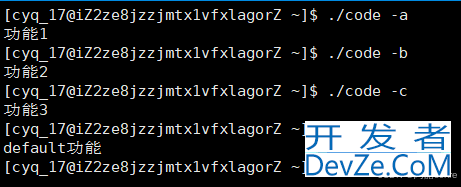 Linux环境变量&&进程地址空间详解