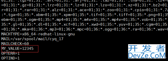 Linux环境变量&&进程地址空间详解